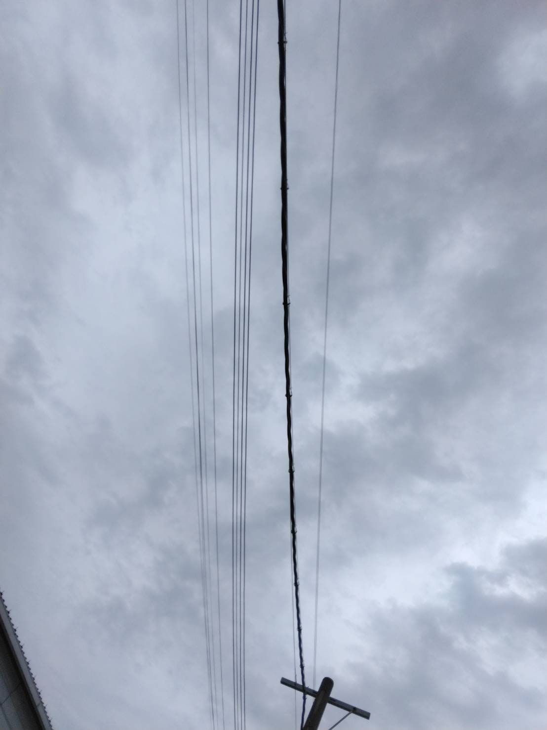 電柱間の高圧架空配線